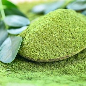 moringa powder